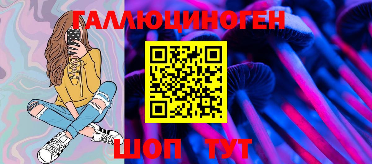 Галлюциногенные грибы GOLDEN TEACHER  Вход с VPN  Галлюциногенные грибы Psilocybe  Орск 